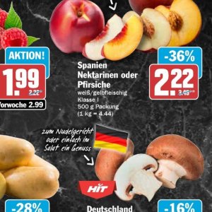 Nektarinen