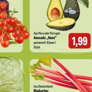 Avocado
