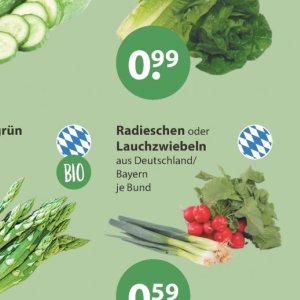 Radieschen