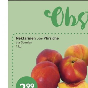 Nektarinen