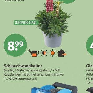 Waschmittel ariel