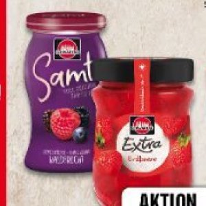 Knorr