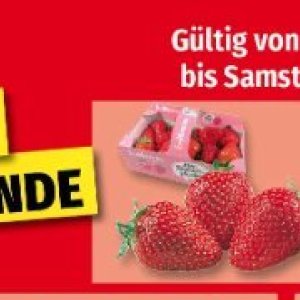 Erdbeeren