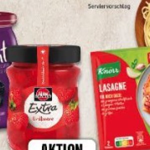 Knorr