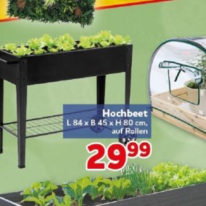Hochbeet