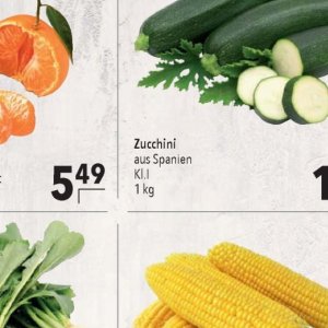 Zucchini