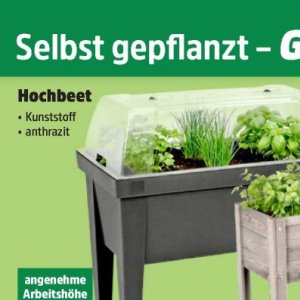 Hochbeet