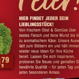 Fleisch
