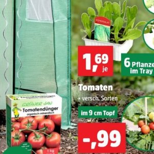 Tomaten