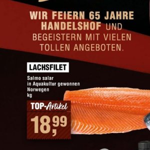 Lachsfilet