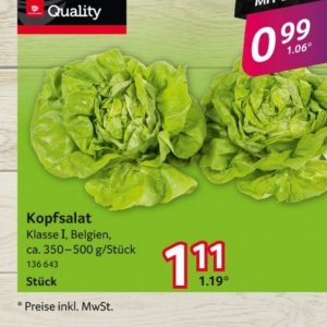 Kopfsalat