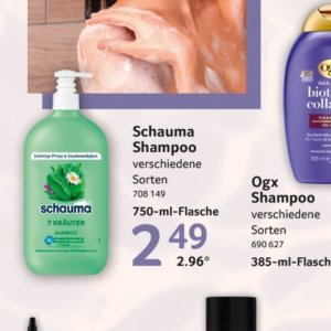 Shampoo