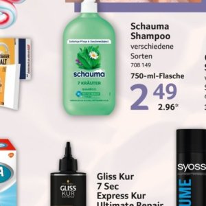 Shampoo