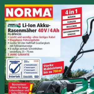 Rasenmäher