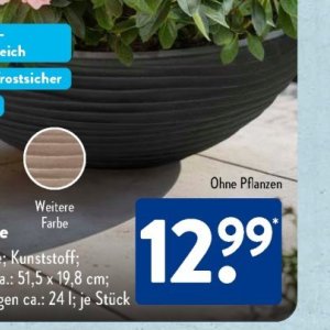 Pflanzen