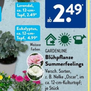 Gartengarnituren