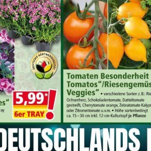 Tomaten