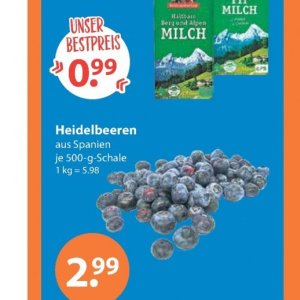 Heidelbeeren