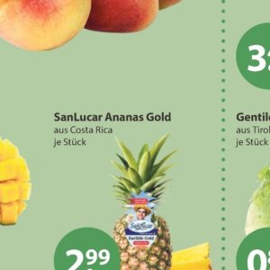 Ananas