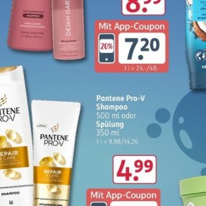 Shampoo