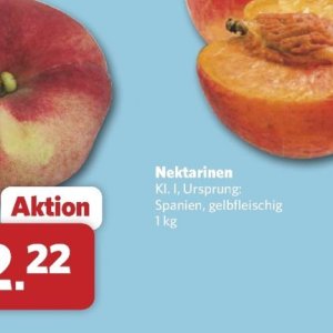 Nektarinen