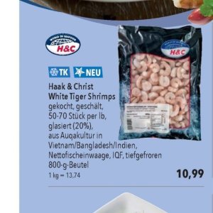 Shrimps