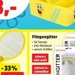 Fenster
