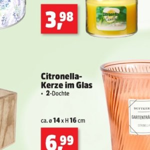 Glas