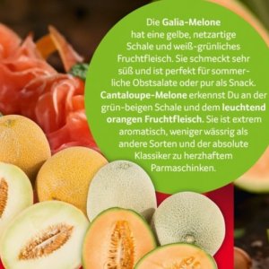 Orangen