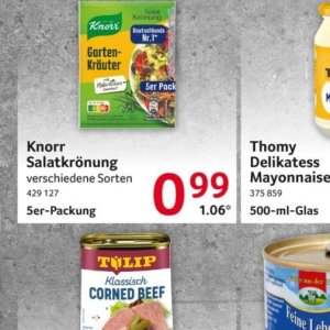 Knorr