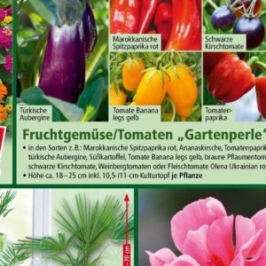 Tomaten
