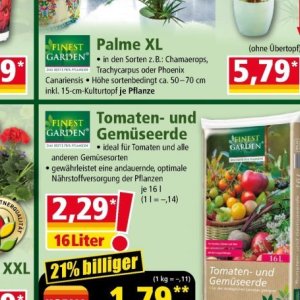 Tomaten
