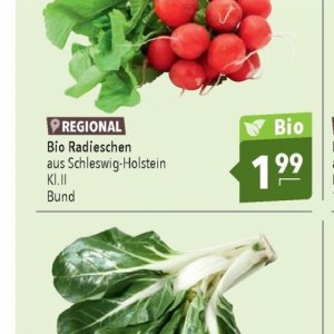 Radieschen