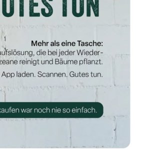 Bäume bei Feneberg