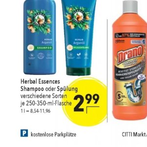 Shampoo
