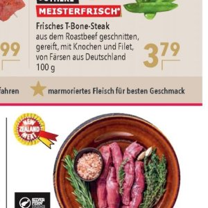 Fleisch