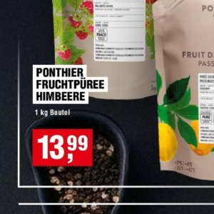 Himbeere