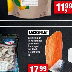 Lachsfilet