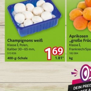Champignons
