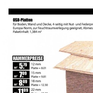 Osb-platten