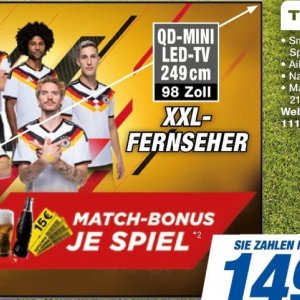 Fernseher