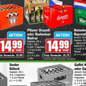 Pilsner bei Hit