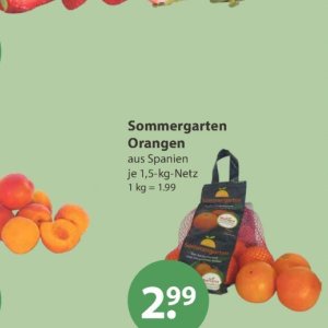 Orangen