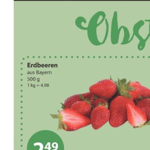 Erdbeeren