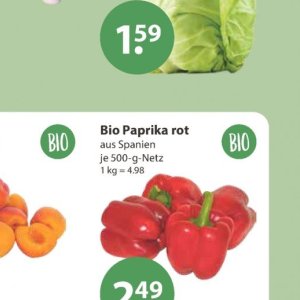 Paprika