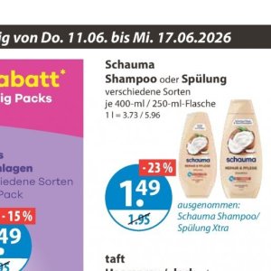 Shampoo