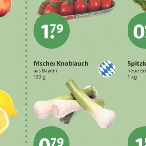 Knoblauch