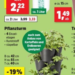 Kartoffeln
