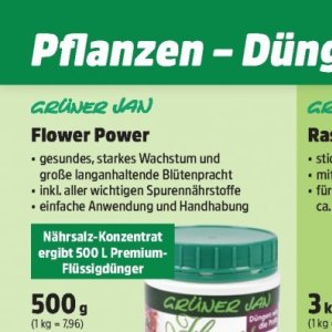 Pflanzen