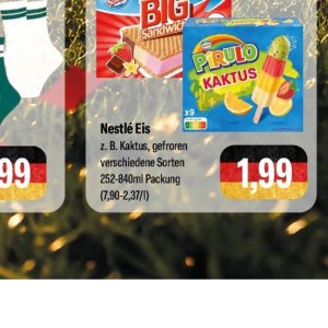 Kaktus